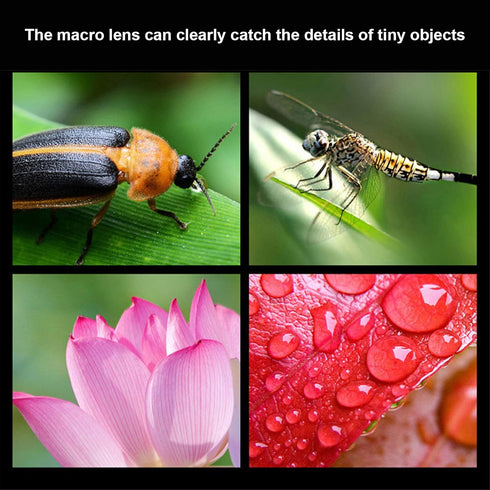 2 in 1 Cell Phone Lens Kit, 0.45X Wide Angle 12.5X Macro Phone Camera Lens, Professional Cell Phone Lens with Clip, Detachable HD Lens with Storag...