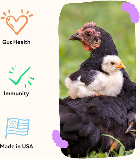 Grubbly Farms Prebiotics + Probiotics for Chickens (30 Day)...