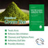 GLAM UP Sheet mask Refreshing Green Tea (10 sheets) - Revitalize Dull Skin. Dark Circle Fighter Nature made Freshly packed Daily Skin Therapy Orig...