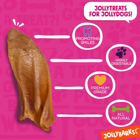 Half Pig Ears for Dogs | All Natural Dog Treats Pig Ears Dog Treats | Single Ingredient Dog Chews Dog Treats for Medium Dogs and Small Dog (12 Pac...