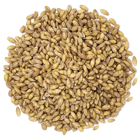 Food to Live Organic Hulled Barley, 8 Ounces – Non-GMO, 100% Whole Grain, Kosher, Vegan. Suited for Home Brewing, Grinding. High Fiber. Great for ...