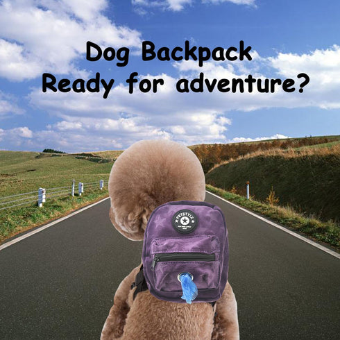 FLAdorepet Dog Backpack Harness with Leash, Dog Poop Bag Dispenser, Pet Self Carrier Adjustable Travel Hiking Walking Harness Backpack for Small M...