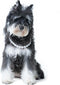 Pet Pearl Collar, Adjustable Dog Necklace,Chic Jewelry for Cat Puppy Chihuahua Girl Dogs Clothing Dress Accessories(White) (XXL 18.9 '')...