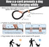 Dog Slip Leads 4.92ft Long Comfort Nylon Heavy Duty Dog Leash Durable Dog Leash with Adjustable Slipknot to Fit Medium or Large Dog Breeds Dog Rop...