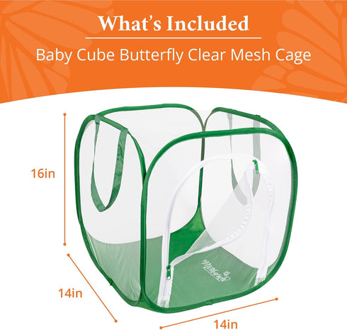 Baby Cube Clear Mesh Butterfly Cage with Drawbridge Open Door | 14”L x 14”W x 16”H | Raise Up to 10 Monarchs with POP-Up Professional Habitat by M...