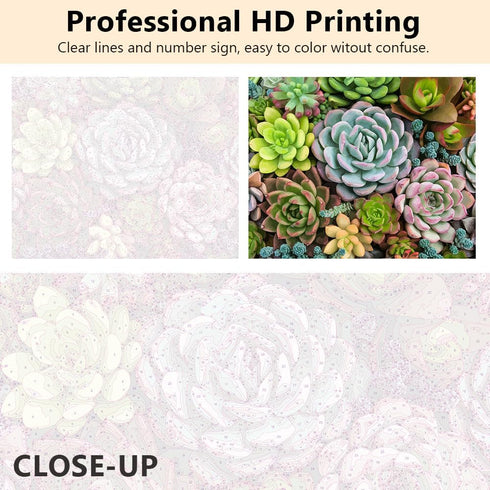 Adults Paint By Numbers Succulents Paint By Number Artwork DIY Cactus Numbers Painting Modern Beginners Paint By Numbers Art Lady Men Funny Painti...