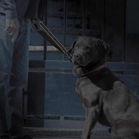 YAODHAOD Short Dog Leash, 13inch Heavy Duty Dog Strong Traffic Leash with Locking Carabiner Clip, Nylon Reflective Dog Lead with Padded Handle for...