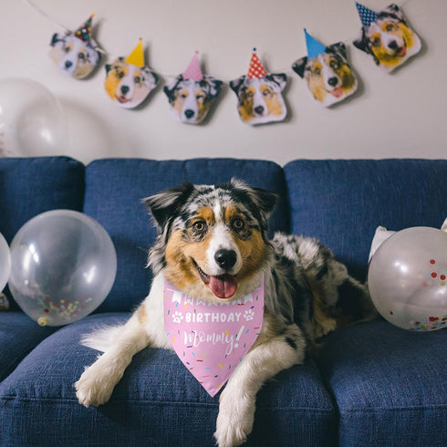 Happy Birthday Mommy Mom Dog Triangle Dog Bandana Scarf Birthday Party Accessorie Gifts for Dog Mom Lovers...