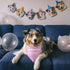 Happy Birthday Mommy Mom Dog Triangle Dog Bandana Scarf Birthday Party Accessorie Gifts for Dog Mom Lovers...