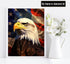 Diymood Paint by Numbers for Adults Eagle, DIY Oil Painting American Flag Acrylic Paint by Number Kits for Adults Beginner for Home Wall Decor 16x...