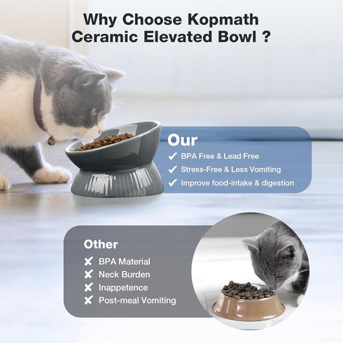 Elevated Cat Bowl, Ceramic Tilted Cat Food Bowl, Anti Vomiting, Stress Free on Neck and Spine, Spill-Proof, Anti-Tipping, Dishwasher Safe, Raised ...