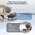 Elevated Cat Bowl, Ceramic Tilted Cat Food Bowl, Anti Vomiting, Stress Free on Neck and Spine, Spill-Proof, Anti-Tipping, Dishwasher Safe, Raised ...