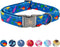 Elegant little tail Dog Collar, Blue Dinosaurs Pattern Pet Collar Durable Cute Dog Collars Male or Female Pet Gift Adjustable Dog Collar for Mediu...