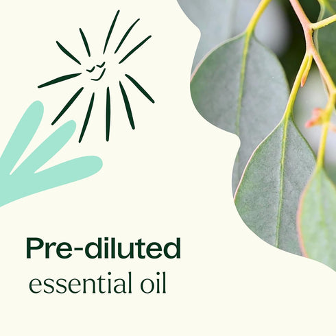 Plant Therapy Eucalyptus Pre-Diluted Roll-On 10mL (1/3 oz) for Skin and Clear Breathing, 100% Pure, Therapeutic Grade...