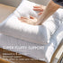 Phantoscope 18x18 Pillow Insert - Throw Pillow Insert with 100% Cotton Cover - 18 Inch Square Form Microfiber Pillow Sham Stuffer - Couch Cushion ...