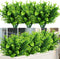 Artificial Plants Flowers Faux Boxwood Shrubs 6 Pack, Lifelike Fake Greenery Foliage with 42 Stems for Garden, Patio Yard, Wedding, Office and Far...