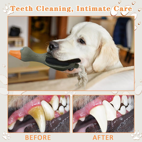Interactive Dog Toys for Medium Small Breed, Soft Rubber Squeaky Dog Toys for Teething and Training...