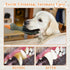 Interactive Dog Toys for Medium Small Breed, Soft Rubber Squeaky Dog Toys for Teething and Training...