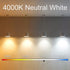 5 Inch T10 Tubular LED Light Bulbs,4000K Daylight Vintage E26 Edison Bulbs Dimmable,4W Equal 40 watt,400LM,UL-Certified Antique Glass Filament Bul...