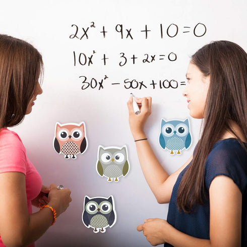 4 Pieces Cute Owl Erasers Magnetic Owl Whiteboard Eraser Animal Shaped Dry Erase Chalkboard Erasers with Felt for Classroom Office Home (Random Co...