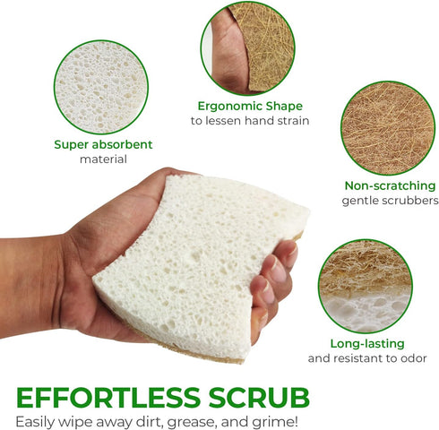 Biodegradable Natural Kitchen Sponge - Compostable Cellulose and Coconut Walnut Scrubber Sponge - Pack of 12 Eco Friendly Sponges for Dishes - Han...