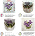 Stitchmelody Stamped Cross Stitch Kits,11CT Printed Pattern DMC Embroidery Kit-Learning Owl 28cm×38cm...