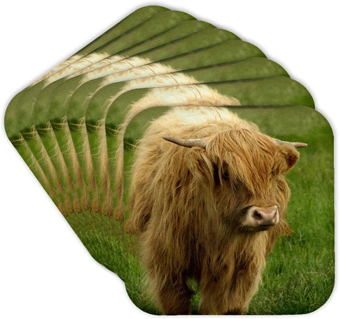 3dRose Scotland, Highland Cow, Farm animal-EU36 CMI0128-Cindy Miller Hopkins-Soft Coasters, Set of 8 (CST_82799_2)...
