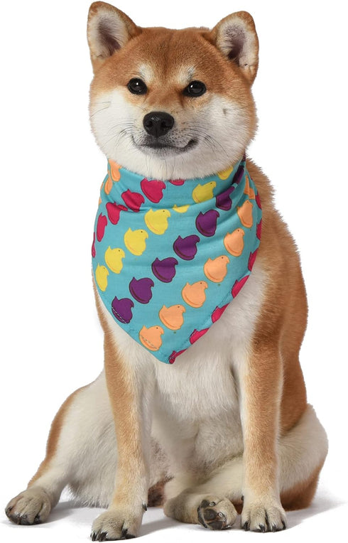 Chick Rainbow Print Dog Bandana, Medium/Large | Large Dog Bandana Officially Licensed Pet Product | Cute, Soft, Machine Washable Dog Apparel & Acc...