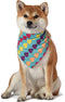 Chick Rainbow Print Dog Bandana, Medium/Large | Large Dog Bandana Officially Licensed Pet Product | Cute, Soft, Machine Washable Dog Apparel & Acc...