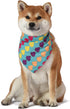 Chick Rainbow Print Dog Bandana, Medium/Large | Large Dog Bandana Officially Licensed Pet Product | Cute, Soft, Machine Washable Dog Apparel & Acc...
