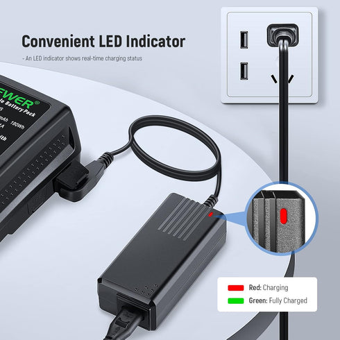 NEEWER D-Tap Battery Charger with 3.3feet/1m D-Tap Cable for V-Mount/V-Lock/Gold Mount Battery, Compatible with NEEWER BP-95W BP-190WS BP-150WS BP...