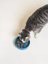 Ceramic Slow Feeder Dog Bowls Small Breed, 0.5 Cups Dog Food Dish for Fast Eaters, Puzzle Bowl for Small Dogs and Cats?5.5 Inch-Blue...