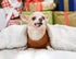 BENRON Medium Dog Blanket for Couch Bed Crate, Cozy Reversible Fleece Dog Blanket, Washable Fluffy Throw Blankets 30x40 Inches Cream White...