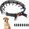 Prong Dog Collar, Martingale Collar for Dog,No Pull Dog Walking Training Collar,Adjustable Tactical Dog Collar with Heavy Duty Metal Buckle (L (Ne...