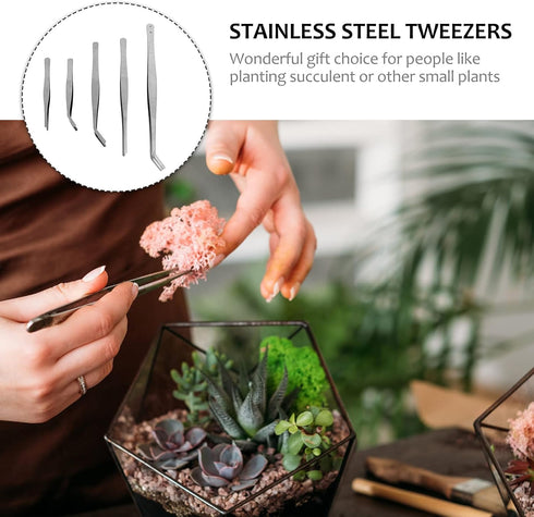FOMIYES 5pcs gardening tweezers bonsai tool kit bejeweled kit mini succulent plants stamp collector tools miniature gardening succulent tools kit ...