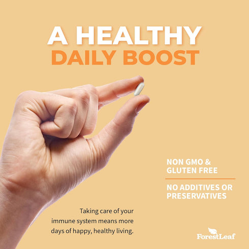 ForestLeaf Vitamin D3 5000 IU - Bone Health and Immune Support - Small Easy to Swallow Vegetable Capsules - Non-GMO Gluten Free VIT D - VIT D3 Vit...
