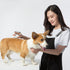 Dog Grooming Slicker Brush, Self Cleaning Hair Shedding Brushes for Indoor Cat, Loose Fur Remover with Adjustable Handle for Long Medium Short Hai...