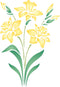 Daffodil Stencil, 6.5 x 9 inch (M) - Spring Flower Floral Perennial Stencils for Painting Template...
