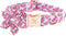 Elegant little tail Dog Collar with Flower, Watermelon Print Pet Collar Flower Dog Collar Summer Cute Dog Collar Adjustable Dog Collar for Large D...