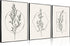 ZJJARTYB Farmhouse Beige Canvas Wall Art Retro Floral Line Pictures Minimalist Botanical Posters Neutral Prints Boho Artwork Simple Painting Wall ...