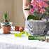 8 Pack Orchid Pot, 5.5in Orchid Pots with Holes, Orchid Pots for Repotting with Clips, Clear Plastic Plant Pot for Indoor Outdoor Plants(5.5in, 8 ...