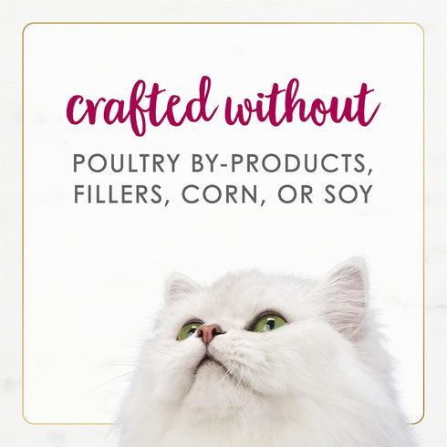 Purina Fancy Feast Wet Cat Food Natural Gourmet Naturals Natural White Meat Chicken and Beef Recipe in Wet Cat Food Gravy - (Pack of 12) 3 oz. Can...
