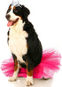 2 Pcs Dog Crown Headband Dog Tutu Dress Set Crystal Rhinestone Dog Tiara Crown Tutu Skirt Dog Dress Cute Pet Costume for Puppy Dog Birthday Party ...