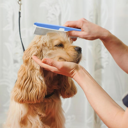 2Pcs Dog Grooming Comb, Durable and Non-Slip Metal Comb for Dogs, Horse, Rabbit, Cat, Metal Pet Comb for Cats with Rounded Tips for Bath, Pet Hair...