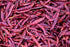 Authentic Red Thai Chili Peppers, 10 oz. Bag, Genuine Hot Red Whole Pepper Chilis, Dried Fresh for Cooking Traditional Asian Foods, Soups, and Cur...