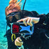 Red Filter 3 Pack for Underwater Photography - Compatible Only with The ProShot Dive Waterproof Case. Red Filter, Magenta Filter, and Pink Filter ...