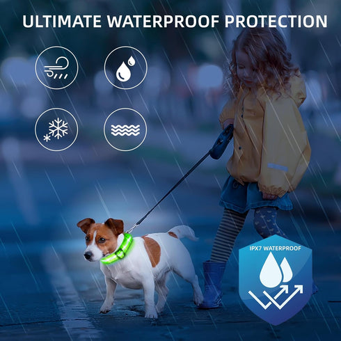 PetIsay Light up Dog Collar - High Visibility & Durable Nylon Material - USB C Rechargeable & Waterproof LED Dog Collar for Night Walking,Lighted ...