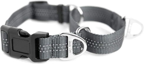 Mighty Paw Martingale Nylon Training Collar. Our Trainer Approved Limited Slip Collar. Modified Cinch Collar for Controlled Force for Optimal Trai...