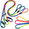 3pcs Slip lead dog leash, no Pull Pet Training Leash for Medium and Small Dogs,two leather stoppers ?5feet?Rainbow?...