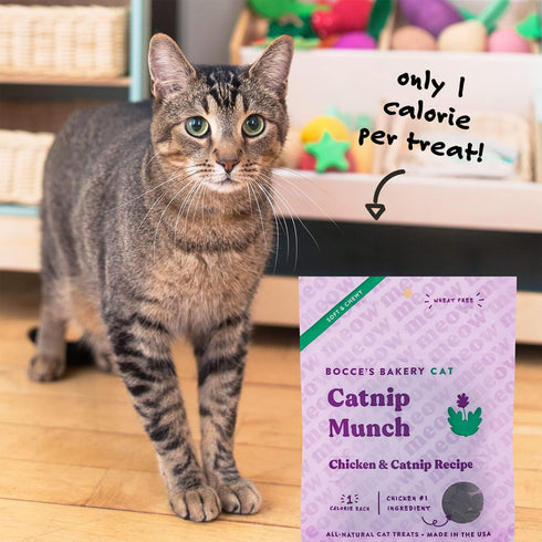 Bocce's Bakery, Crispy Chikn Crunchy Treats for Cats, Wheat-Free Everyday Cat Treats, Made with Limited-Ingredients, Baked in The USA, All-Natural...